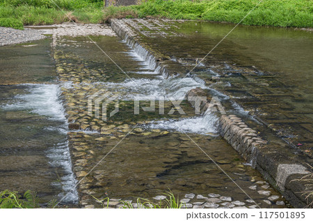 Weir of the Kamo River in Kyoto Weir of the Kamo River in Kyoto 117501895