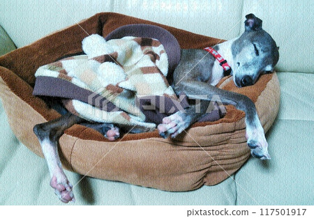 伊塔格雷在夢中打瞌睡 ② 謎題完成 伊塔格雷在夢中打瞌睡 ② 謎題完成 117501917