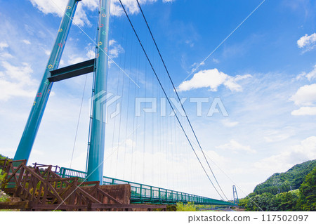 Momijidani Suspension Bridge shining against the blue sky Momijidani Suspension Bridge shining against the blue sky 117502097