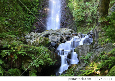 Yoro Falls surrounded by fresh greenery Yoro Falls surrounded by fresh greenery 117502245
