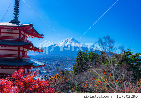 [Mt. Fuji material] Arakurayama Sengen Park during autumn leaves season [Yamanashi Prefecture] 117502290