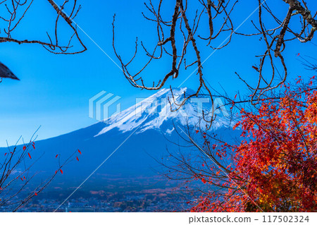 [富士山素材]紅葉季節的新倉山淺間公園[山梨縣] 117502324