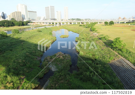 從多摩川河床看到的二子玉川車站週邊的風景 從多摩川河床看到的二子玉川車站週邊的風景 117502819