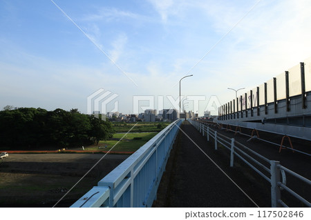 從多摩川河床看到的二子玉川車站週邊的風景 117502846