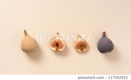 Figs arranged in a row 117502952