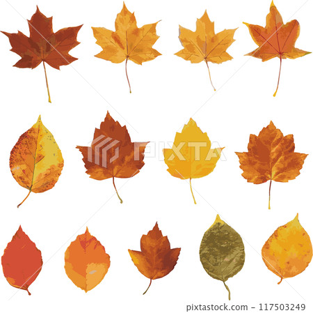 Autumn leaves, dead leaves, fallen leaves, watercolor illustration material set 117503249