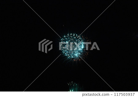 Fireworks dancing in the moonlit night sky Fireworks dancing in the moonlit night sky 117503937