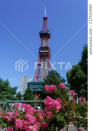 Odori Park in summer (Sapporo TV Tower)_04354 Odori Park in summer (Sapporo TV Tower)_04354 117503995