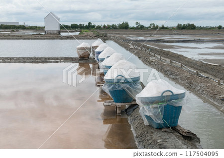 Salt in basket at evaporation pond farm, Samut Songkhram, Thailand 117504095