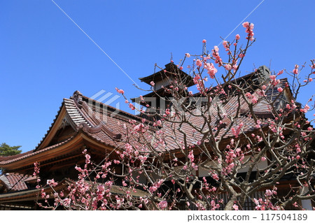 春天的函館/五棱郭公園 春天的函館/五棱郭公園 117504189