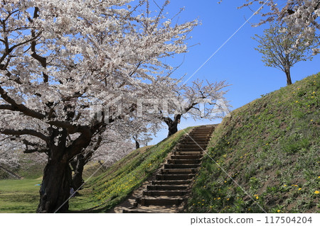 春天的函館/五棱郭公園 春天的函館/五棱郭公園 117504204