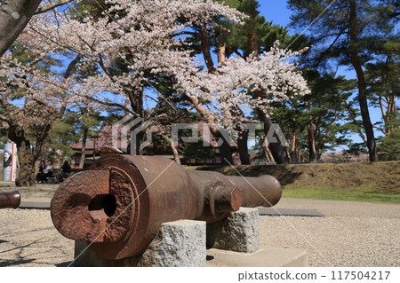 Hakodate Goryokaku Park in Spring 117504217