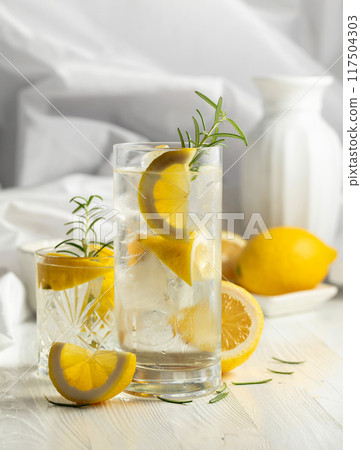 Summer refreshing drink or alcoholic cocktail with ice, rosemary and lemon slices. 117504303