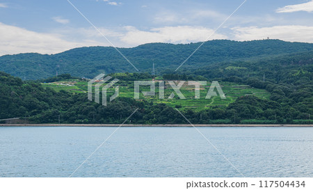 豐島的梯田俯瞰瀨戶內海 117504434