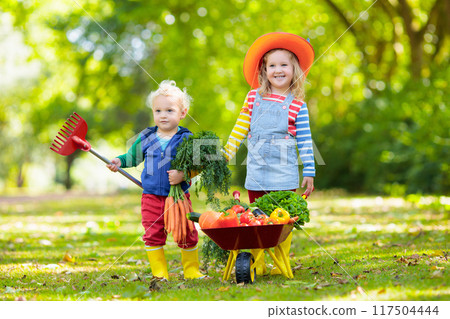 Kids picking vegetables on organic farm 117504444