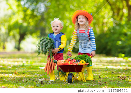 Kids picking vegetables on organic farm Kids picking vegetables on organic farm 117504451