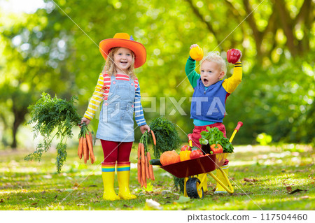 Kids picking vegetables on organic farm 117504460