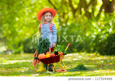 Kids picking vegetables on organic farm 117504466