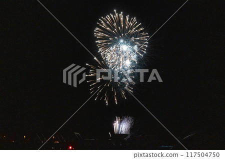 煙火在月夜的夜空中翩翩起舞 煙火在月夜的夜空中翩翩起舞 117504750