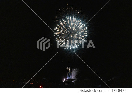 煙火在月夜的夜空中翩翩起舞 煙火在月夜的夜空中翩翩起舞 117504751