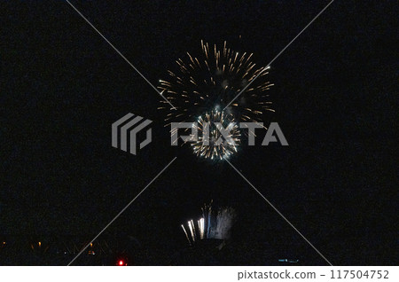 煙火在月夜的夜空中翩翩起舞 117504752