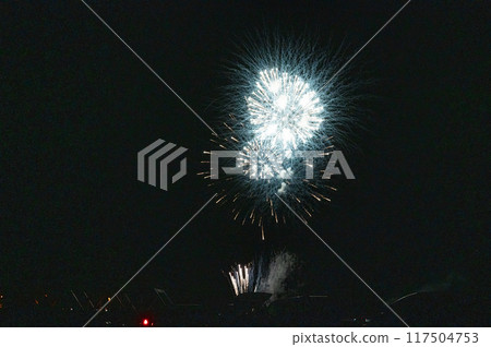 煙火在月夜的夜空中翩翩起舞 煙火在月夜的夜空中翩翩起舞 117504753