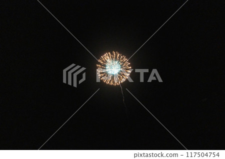 煙火在月夜的夜空中翩翩起舞 煙火在月夜的夜空中翩翩起舞 117504754