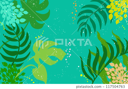 Amazon rainforest 117504763