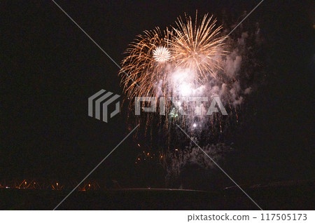 Fireworks dancing in the moonlit night sky Fireworks dancing in the moonlit night sky 117505173