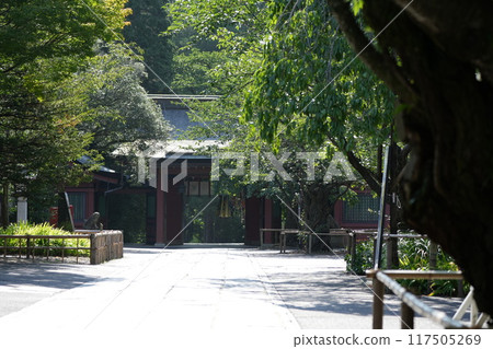 清晨的鹽灶神社,七夕彩帶 清晨的鹽灶神社,七夕彩帶 117505269