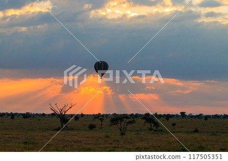 Hot air balloon over the Serengeti National Park in Tanzania at sunrise 117505351