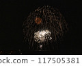 Fireworks dancing in the moonlit night sky 117505381