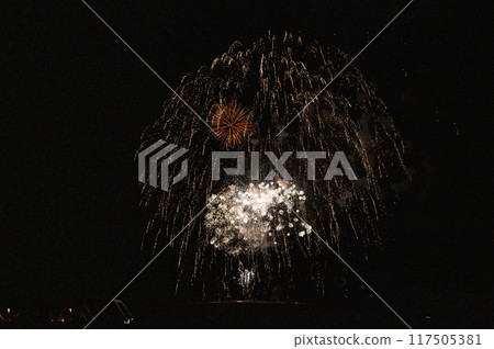 煙火在月夜的夜空中翩翩起舞 117505381