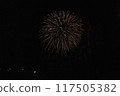 Fireworks dancing in the moonlit night sky 117505382