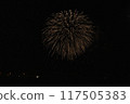 Fireworks dancing in the moonlit night sky 117505383