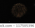 Fireworks dancing in the moonlit night sky 117505396