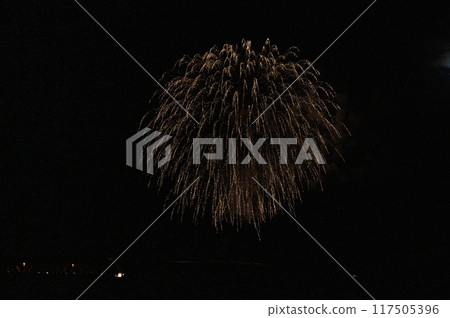 Fireworks dancing in the moonlit night sky Fireworks dancing in the moonlit night sky 117505396