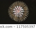 Fireworks dancing in the moonlit night sky 117505397