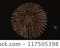 Fireworks dancing in the moonlit night sky 117505398