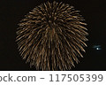 Fireworks dancing in the moonlit night sky 117505399
