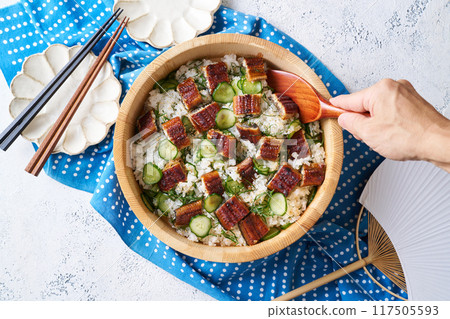 Sushi of salmon 117505593