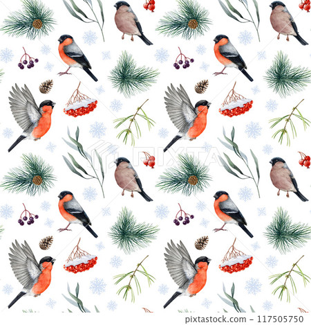 Winter time bullfinch birds seamless pattern, natural elements, pine branches, rowanberry snow covered. Watercolor illustration. Forest bullfinch bird, berries, leaves design element isolated. 117505750
