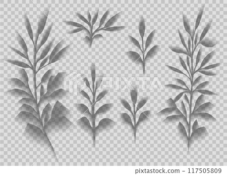 Vector set of transparent shadows of stems with foliages isolated from background. Collection of clipart twig with leaves shadow overlay effect Vector set of transparent shadows of stems with foliages isolated from background. Collection of clipart twig with leaves shadow overlay effect 117505809