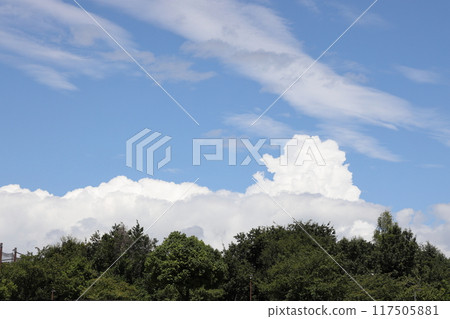 夏天的藍天白雲 夏天的藍天白雲 117505881