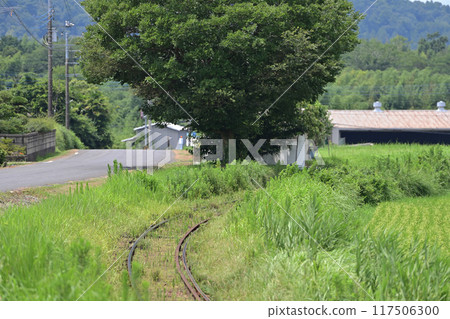 小湊鐵道 牛久上總~河總總之間 小湊鐵道 牛久上總~河總總之間 117506300