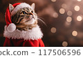 Festive Kitten in Santa Outfit with Bokeh Lights  117506596