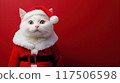 White Cat in Santa Claus Costume on Red Background 117506598
