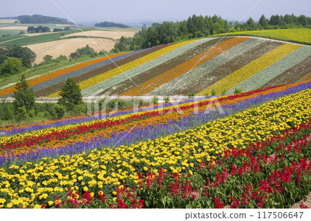 山上的花園 山上的花園 117506647