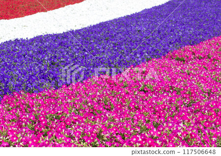 Summer Floral Stripes Summer Floral Stripes 117506648
