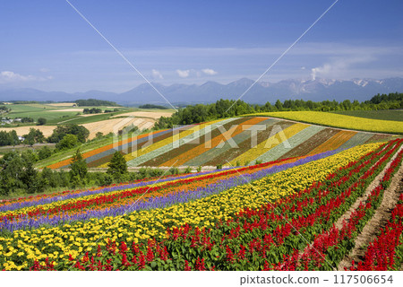 Summer color earth 117506654